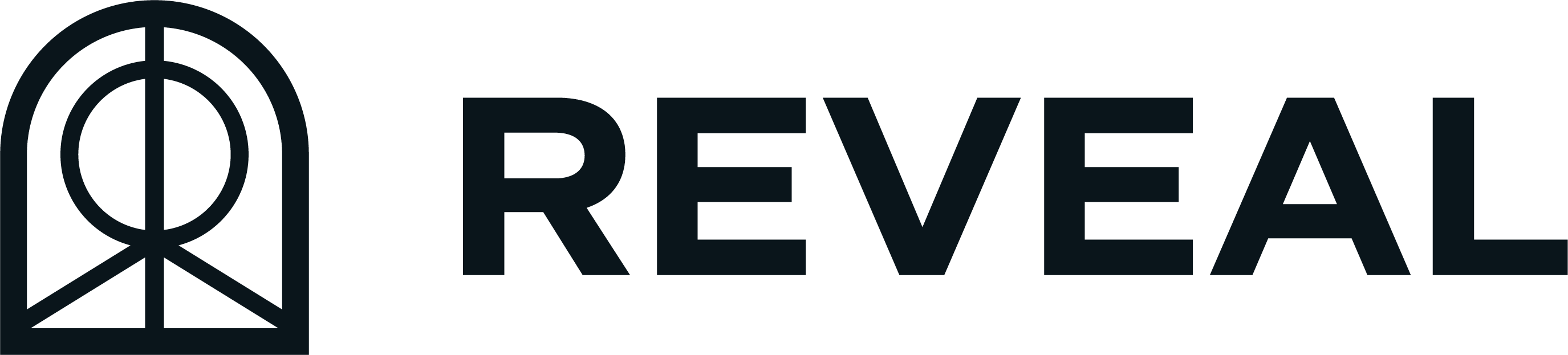 Reveal logo